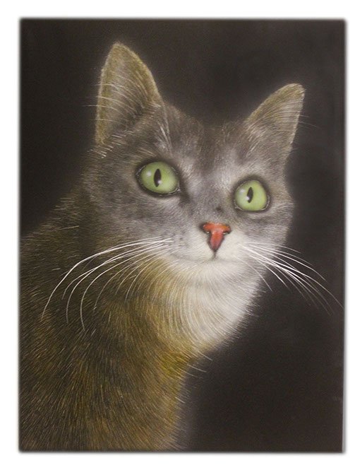 Peinture aérographe réalisme chat par l'artiste Maxime Nepote