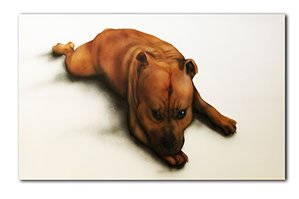Peinture chien Amstaff "Staffie" par l'artiste Maxime Nepote