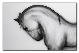 Peinture aérographe Cheval par l'artiste Maxime Nepote