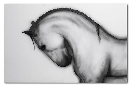 Peinture aérographe Cheval par l'artiste Maxime Nepote